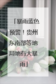 暴雨蓝色预警！贵州东南部等地局地有大暴雨