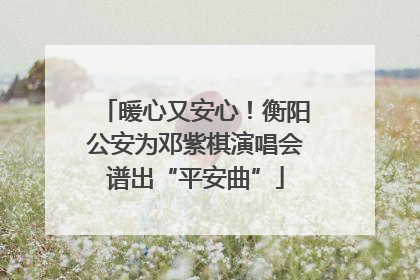 暖心又安心！衡阳公安为邓紫棋演唱会谱出“平安曲”
