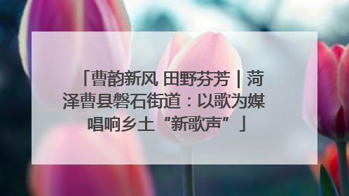 曹韵新风 田野芬芳｜菏泽曹县磐石街道：以歌为媒 唱响乡土“新歌声”