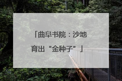曲阜书院：沙地育出“金种子”