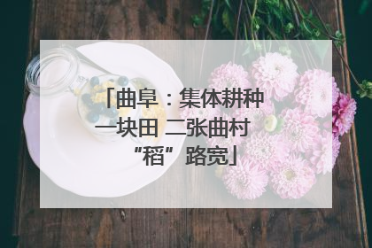 曲阜：集体耕种一块田 二张曲村“稻”路宽