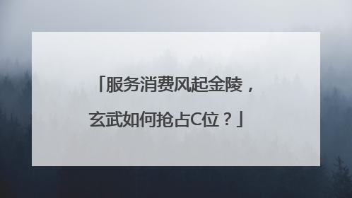 服务消费风起金陵，玄武如何抢占C位？