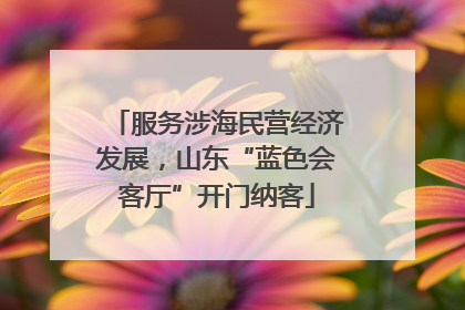 服务涉海民营经济发展，山东“蓝色会客厅”开门纳客