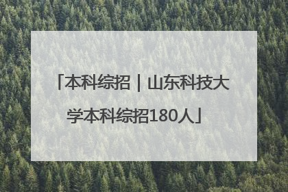 本科综招｜山东科技大学本科综招180人