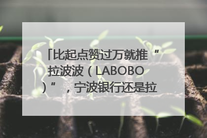 比起点赞过万就推“拉波波（LABOBO）”，宁波银行还是拉业绩吧｜财经辣评
