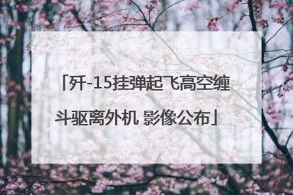 歼-15挂弹起飞高空缠斗驱离外机 影像公布