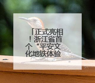 正式亮相！浙江省首个“平安文化地铁体验站”来了