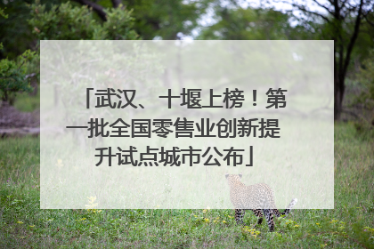 武汉、十堰上榜！第一批全国零售业创新提升试点城市公布