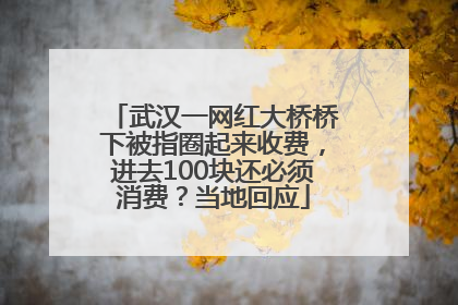 武汉一网红大桥桥下被指圈起来收费，进去100块还必须消费？当地回应