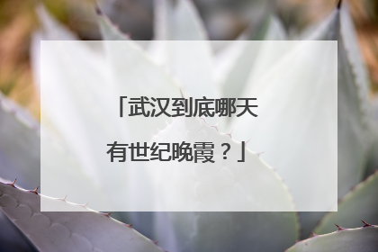 武汉到底哪天有世纪晚霞？