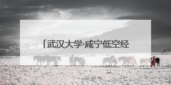 武汉大学·咸宁低空经济创新研究院签约成立