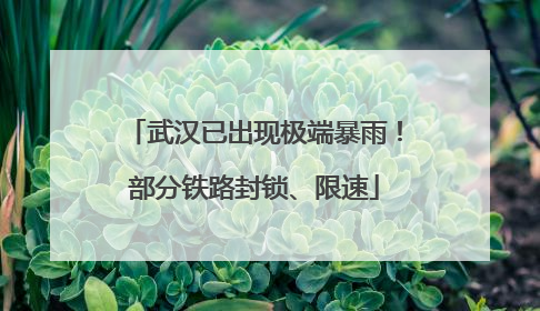 武汉已出现极端暴雨！部分铁路封锁、限速
