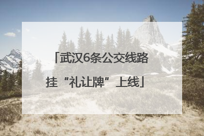 武汉6条公交线路挂“礼让牌”上线