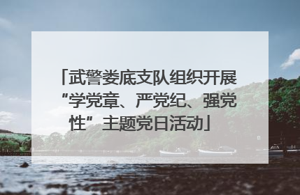 武警娄底支队组织开展“学党章、严党纪、强党性”主题党日活动