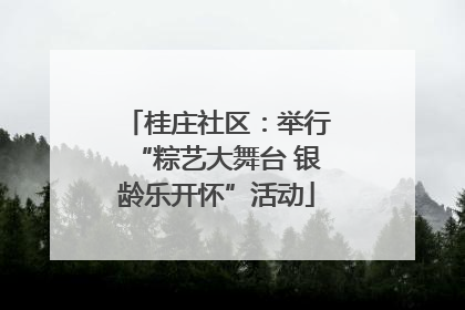 桂庄社区：举行“粽艺大舞台 银龄乐开怀”活动