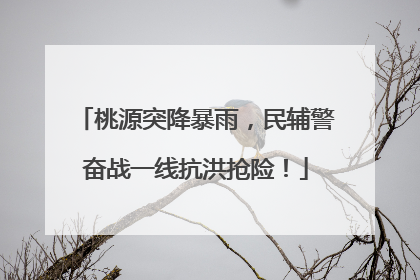 桃源突降暴雨，民辅警奋战一线抗洪抢险！