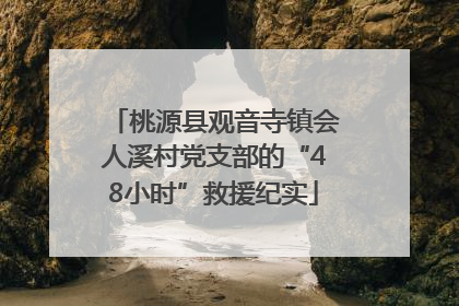 桃源县观音寺镇会人溪村党支部的“48小时”救援纪实