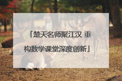 楚天名师聚江汉 重构数学课堂深度创新