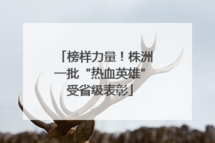 榜样力量！株洲一批“热血英雄”受省级表彰