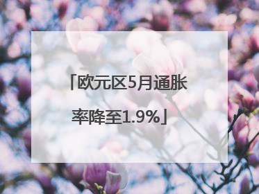 欧元区5月通胀率降至1.9%