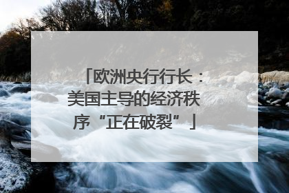 欧洲央行行长：美国主导的经济秩序“正在破裂”
