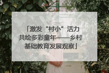 激发“村小”活力 共绘多彩童年——乡村基础教育发展观察