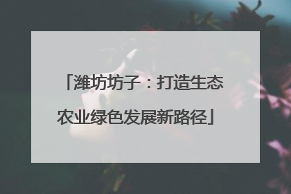 潍坊坊子：打造生态农业绿色发展新路径