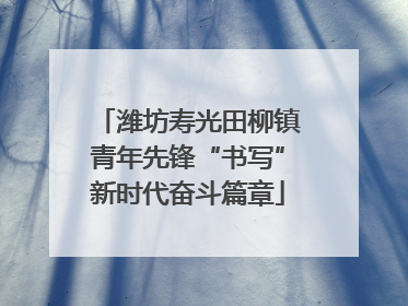 潍坊寿光田柳镇青年先锋“书写”新时代奋斗篇章