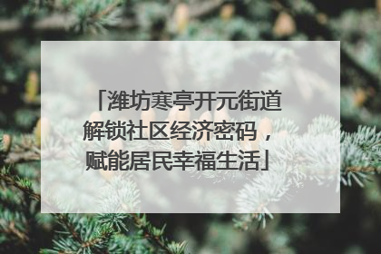 潍坊寒亭开元街道解锁社区经济密码，赋能居民幸福生活