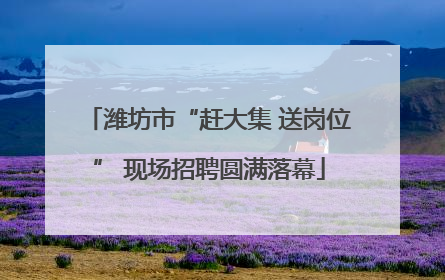 潍坊市“赶大集 送岗位” 现场招聘圆满落幕