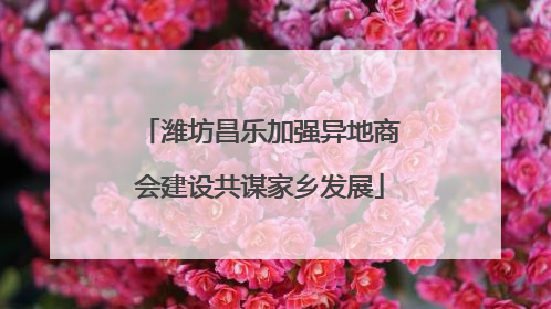 潍坊昌乐加强异地商会建设共谋家乡发展