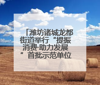 潍坊诸城龙都街道举行“提振消费·助力发展”首批示范单位授牌活动