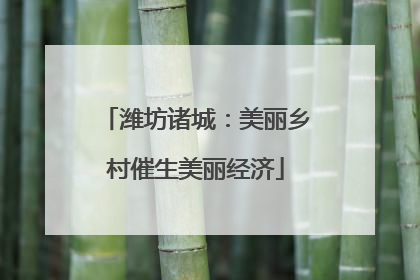 潍坊诸城：美丽乡村催生美丽经济