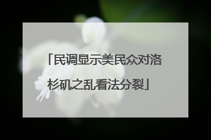 民调显示美民众对洛杉矶之乱看法分裂
