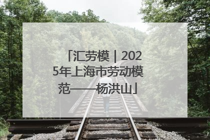 汇劳模｜2025年上海市劳动模范——杨洪山