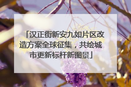 汉正街新安九如片区改造方案全球征集，共绘城市更新标杆新图景