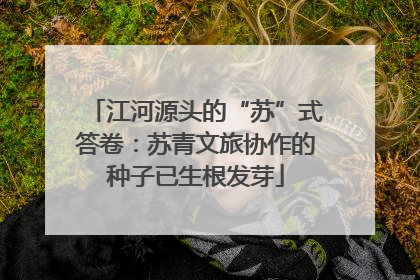 江河源头的“苏”式答卷：苏青文旅协作的种子已生根发芽