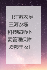 江苏农垦三河农场：科技赋能小麦管理保障夏粮丰收