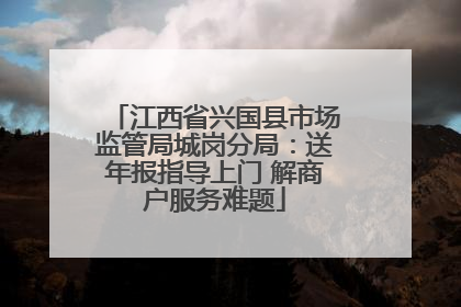 江西省兴国县市场监管局城岗分局：送年报指导上门 解商户服务难题