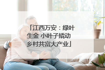 江西万安：绿叶生金 小叶子撬动乡村共富大产业