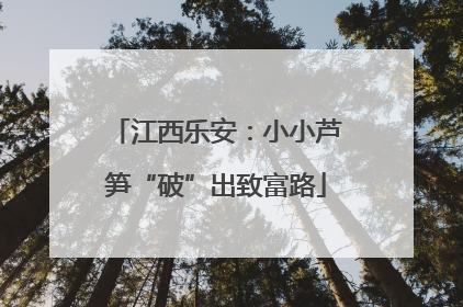 江西乐安：小小芦笋“破”出致富路