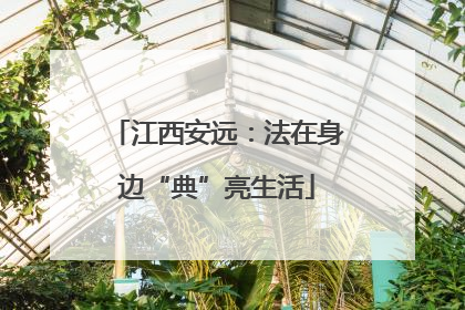 江西安远：法在身边“典”亮生活