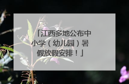 江西多地公布中小学（幼儿园）暑假放假安排！