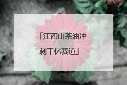 江西山茶油冲刺千亿赛道