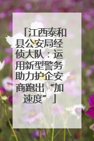 江西泰和县公安局经侦大队：运用新型警务助力护企安商跑出“加速度”