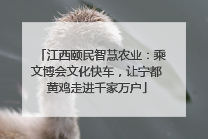 江西颐民智慧农业：乘文博会文化快车，让宁都黄鸡走进千家万户