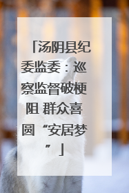 汤阴县纪委监委：巡察监督破梗阻 群众喜圆“安居梦”