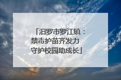 汨罗市罗江镇：禁毒护苗齐发力 守护校园助成长