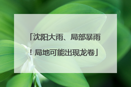 沈阳大雨、局部暴雨！局地可能出现龙卷