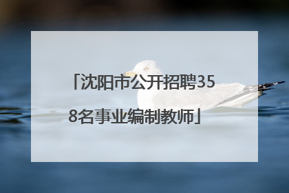 沈阳市公开招聘358名事业编制教师